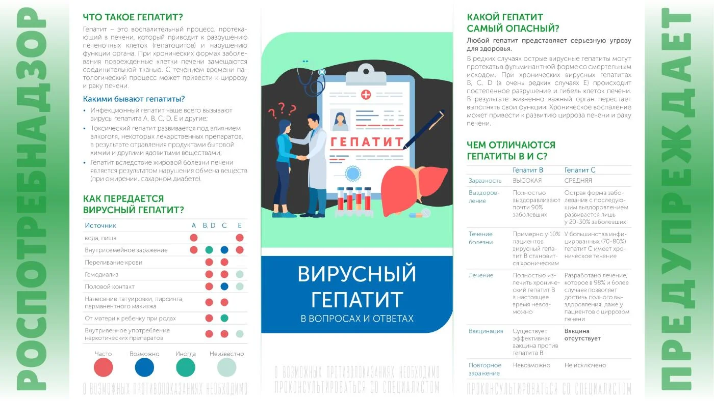 Подробно о гепатитах