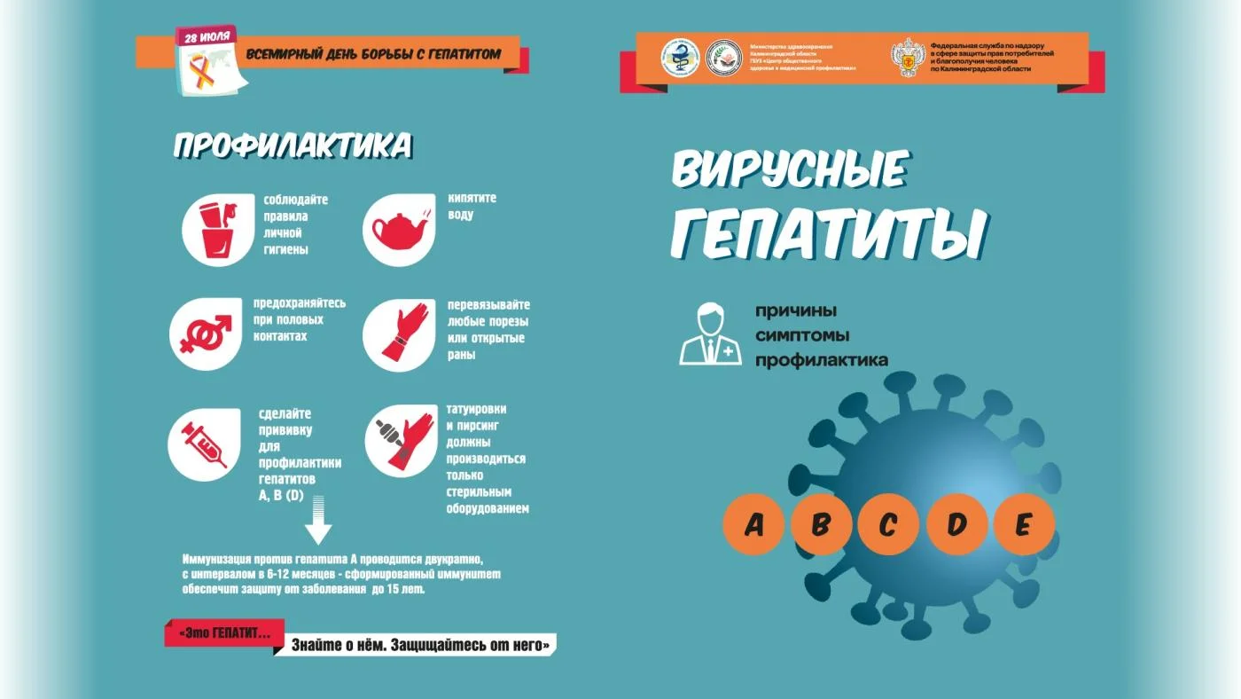 Вирусные гепатиты. Узнать больше, чтобы уберечь себя