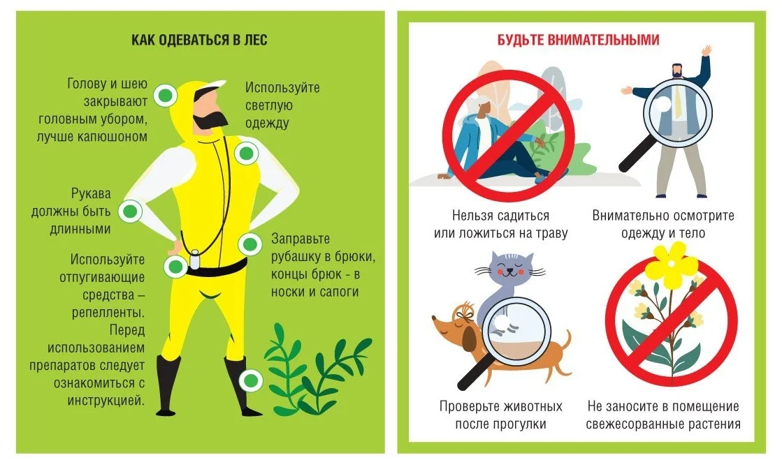 Приходит время активности клещей. Будьте внимательны и осторожны!