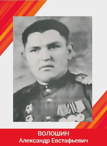 Волошин Александр Евстафьевич_Монтажная область 1.jpg