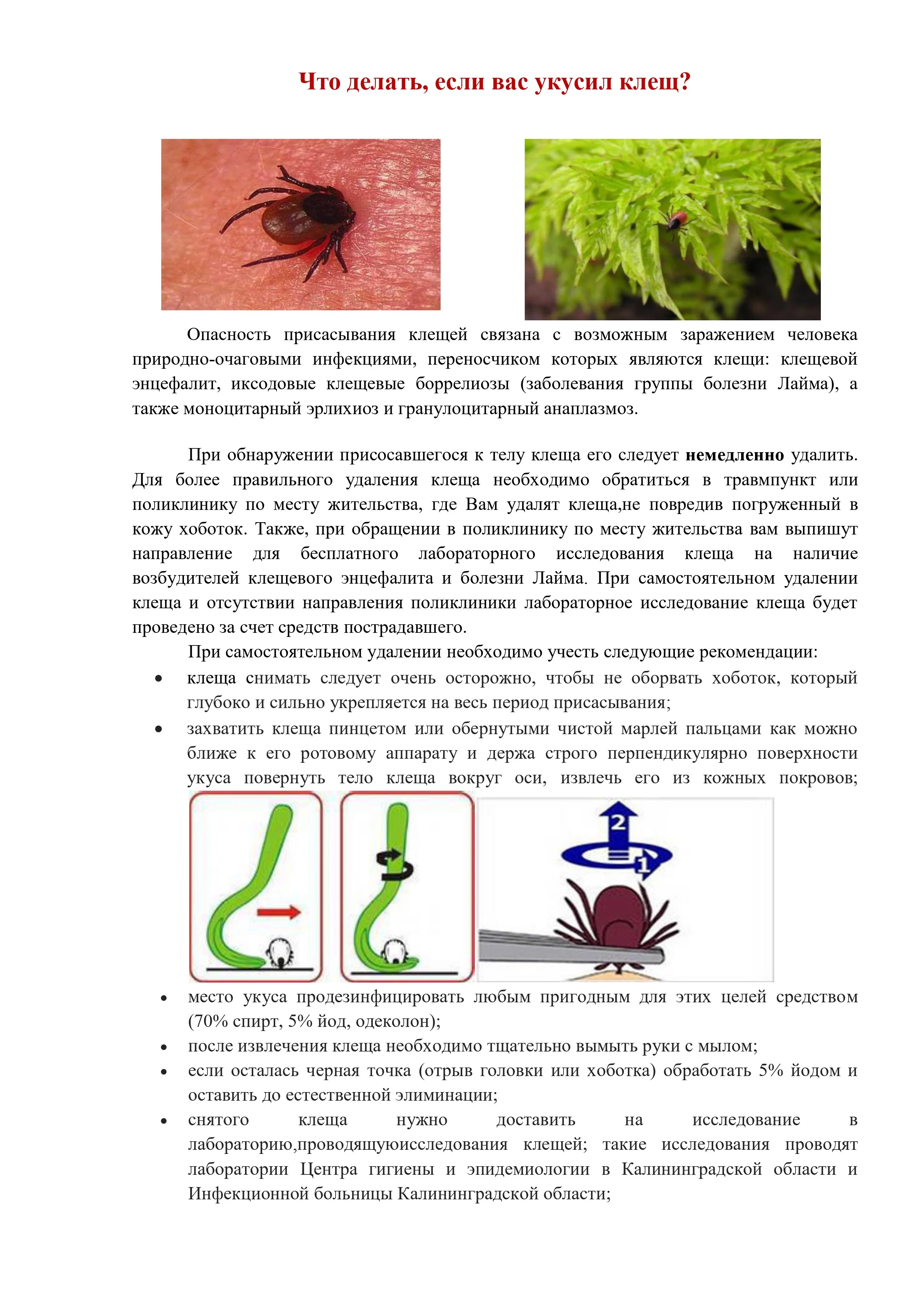 Клещи1