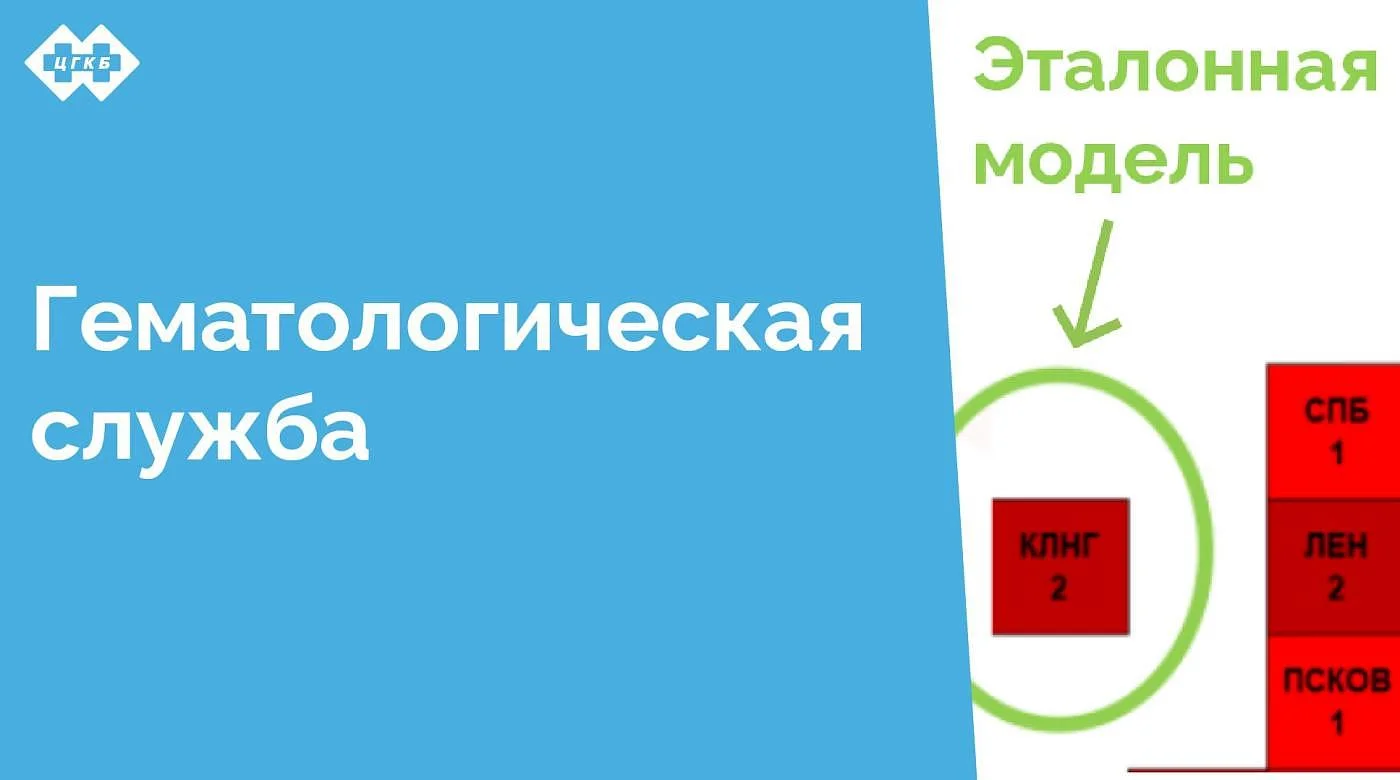 27 марта состоялось рабочее совещание, посвященное состоянию и путям совершенствования оказания медицинской помощи пациентам с онкогематологическими заболеваниями в Калининградской области