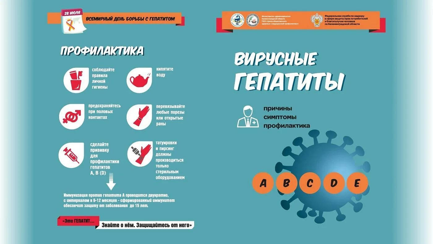 Вирусные гепатиты. Узнать больше, чтобы уберечь себя