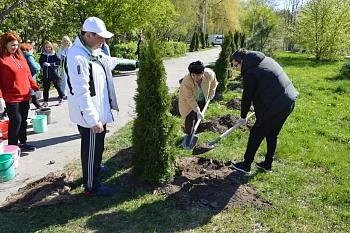 Новая аллея с туями, убранные газоны, покрашенные бордюры и хорошее настроение: в ЦГКБ состоялся субботник