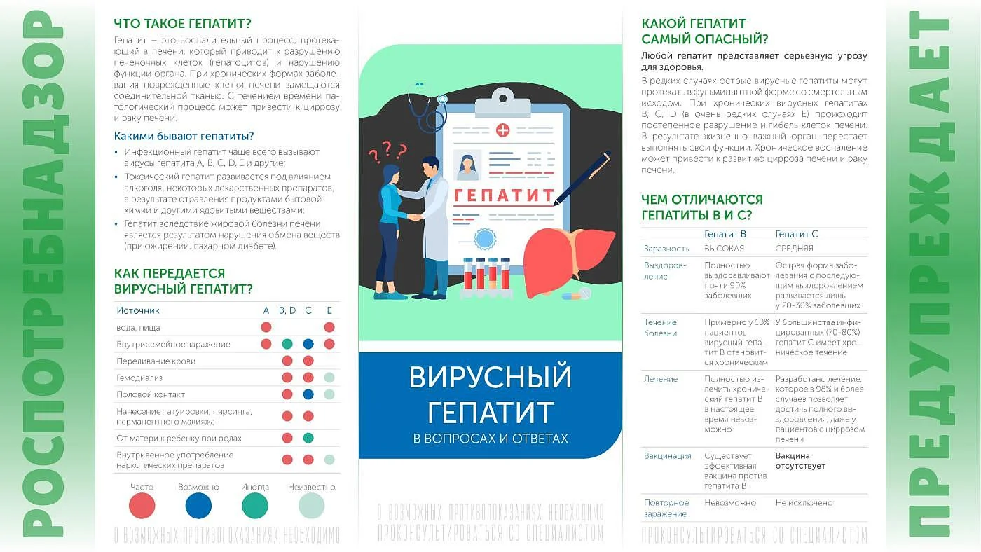 Подробно о гепатитах