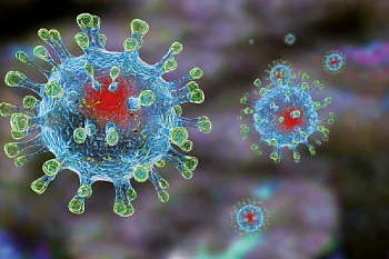 Что необходимо делать для профилактики новой коронавирусной инфекции