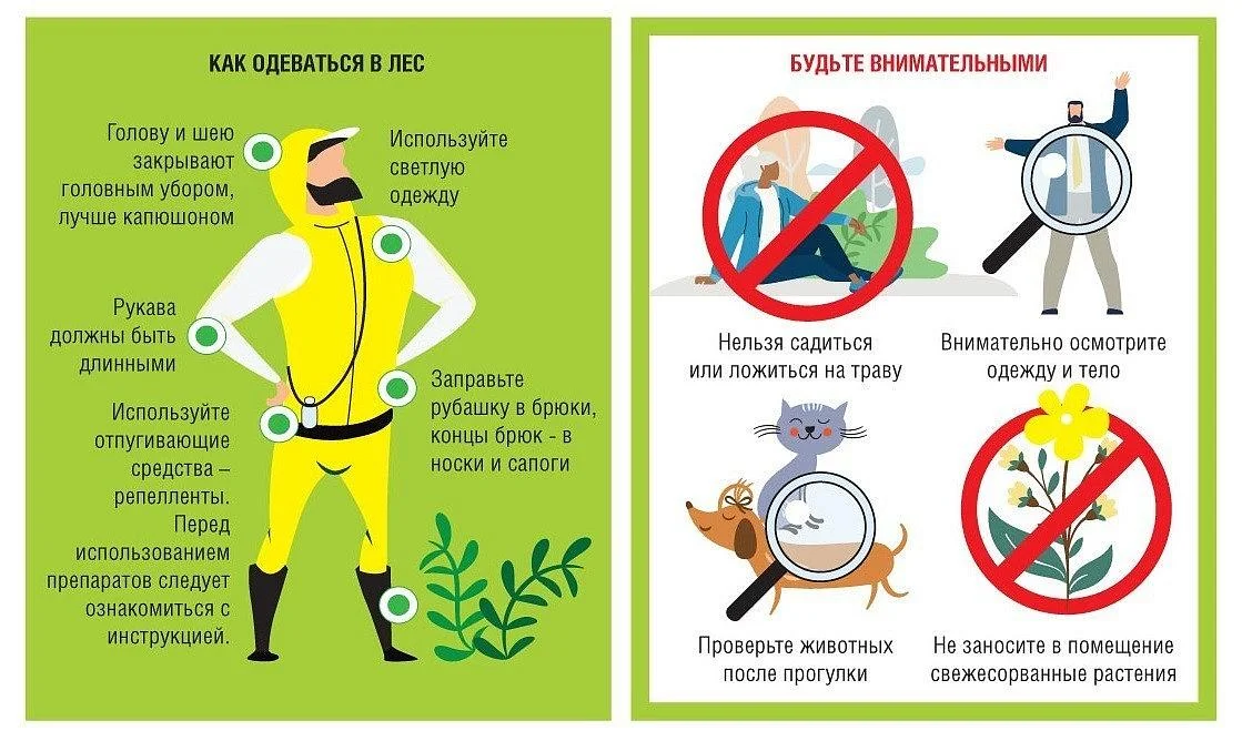 Приходит время активности клещей. Будьте внимательны и осторожны! Приходит время активности клещей. Будьте внимательны и осторожны!