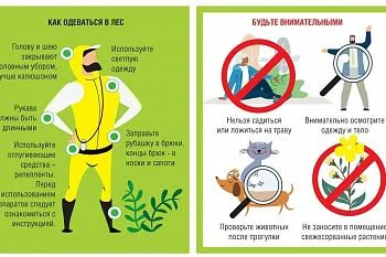 Приходит время активности клещей. Будьте внимательны и осторожны!