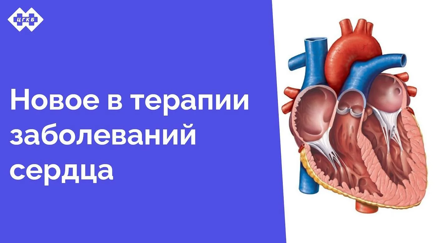 Проблемы лечения пациентов с хронической сердечной недостаточностью являются актуальными для большого числа амбулаторных пациентов. О возможных путях их решения с учетом имеющихся возможностей – в этом материале Проблемы лечения пациентов с хронической сердечной недостаточностью являются актуальными для большого числа амбулаторных пациентов. О возможных путях их решения с учетом имеющихся возможностей – в этом материале