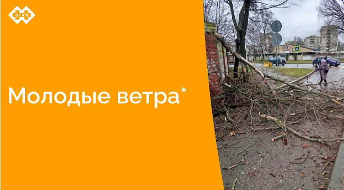 Оперативная работа хозяйственной службы