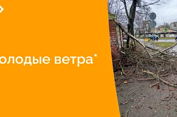 Оперативная работа хозяйственной службы