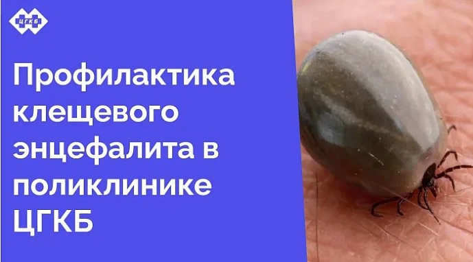 Клещевой энцефалит – опасное вирусное заболевание, поражающее нервную систему. Переносчиками вируса являются иксодовые клещи, обитающие в лесах, парках и даже на дачных участках