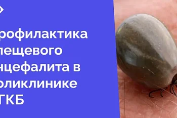 Клещевой энцефалит – опасное вирусное заболевание, поражающее нервную систему. Переносчиками вируса являются иксодовые клещи, обитающие в лесах, парках и даже на дачных участках