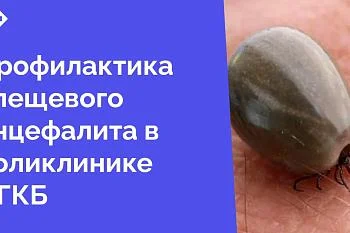 Клещевой энцефалит – опасное вирусное заболевание, поражающее нервную систему. Переносчиками вируса являются иксодовые клещи, обитающие в лесах, парках и даже на дачных участках 