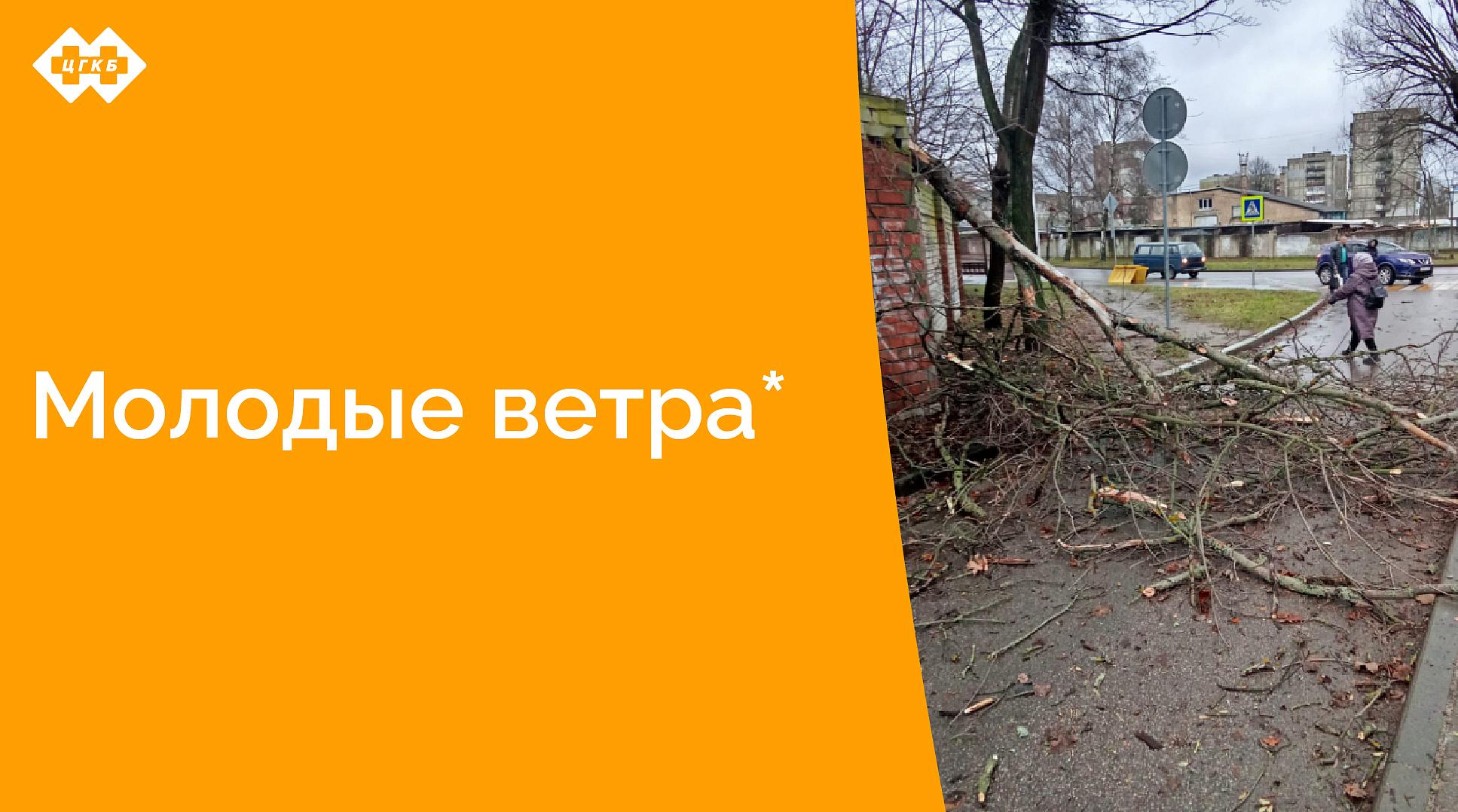 Оперативная работа хозяйственной службы